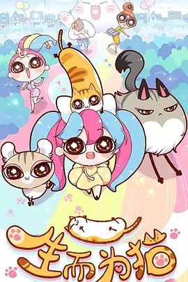 中山市seo广告优化营销工具